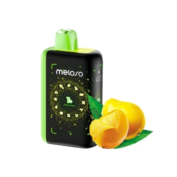 Geek Bar Meloso Bar 30000 Disposable Vape